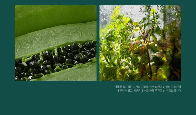 [피지/진정케어] 피캄 베리어 사이클 락토P 토너 200ml 상세페이지 12